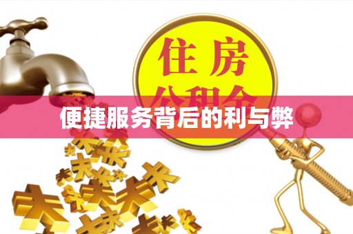成武便捷服务背后的利与弊