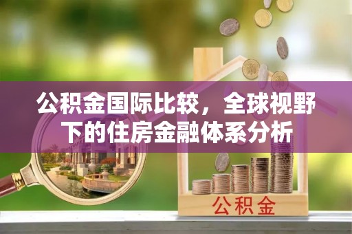 成武公积金国际比较，全球视野下的住房金融体系分析
